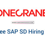 Konecranes Trainee SAP SD Hiring 2026
